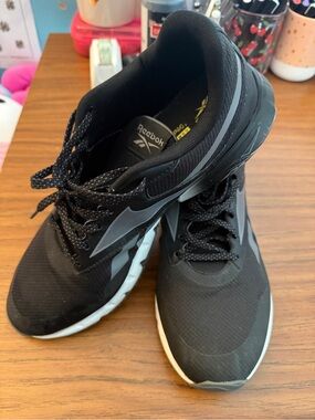 Reebok Men's Zig Dynamic Running Shoe